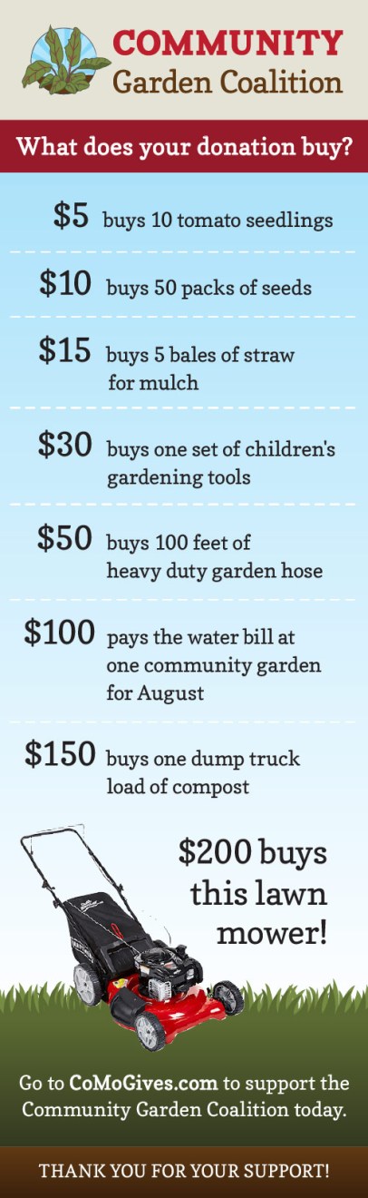 graphic showing donation amounts and what they could be used for