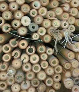 Picture of bamboo tubes with long pieces of grass sticking out the ends.