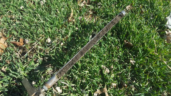 rye and clover cover crop with soil probe showing deep rich soil