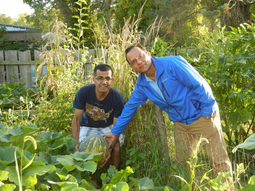 two gardeners at Ash St. showing off a large melon