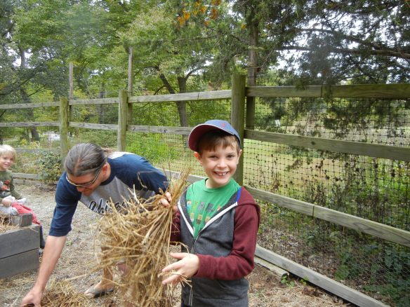young boy holding straw to mulch raised bed