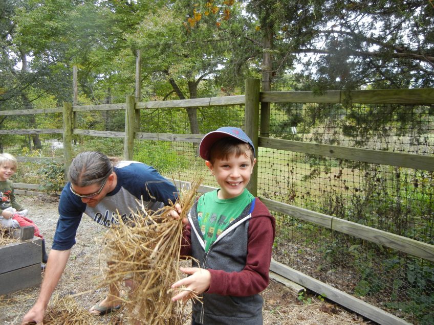 young boy holding straw to mulch raised bed
