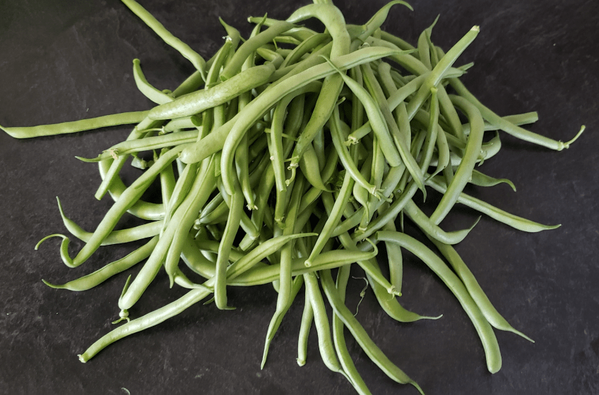a pile of homegrown green beans