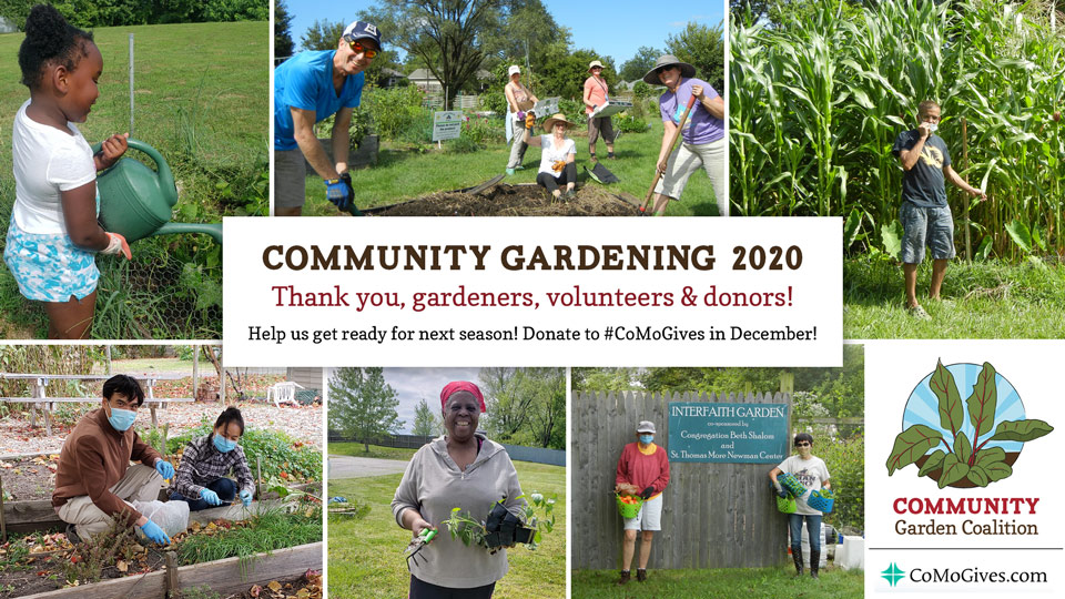 Collage of community gardening photos from 2020, "Thank you gardeners, volunteers & donors! Donate to #CoMoGives in December!"