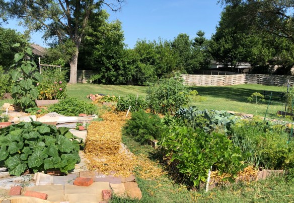 Anne Jacobson's plot at Unite4Health garden