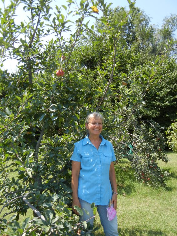garden leader Cheryl poses with a small apple tree with a couple red apples at Unite4Health garden