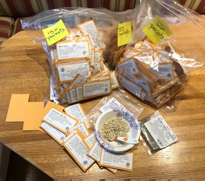 a paper bowl of zucchini seeds with measuring spoon sits on a table with seed packets in progress and finished packets in large ziplocks with quantities labeled