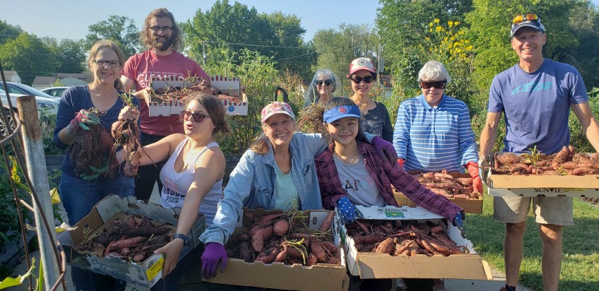gardeners at Unite4Health garden display their sweet potato harvest