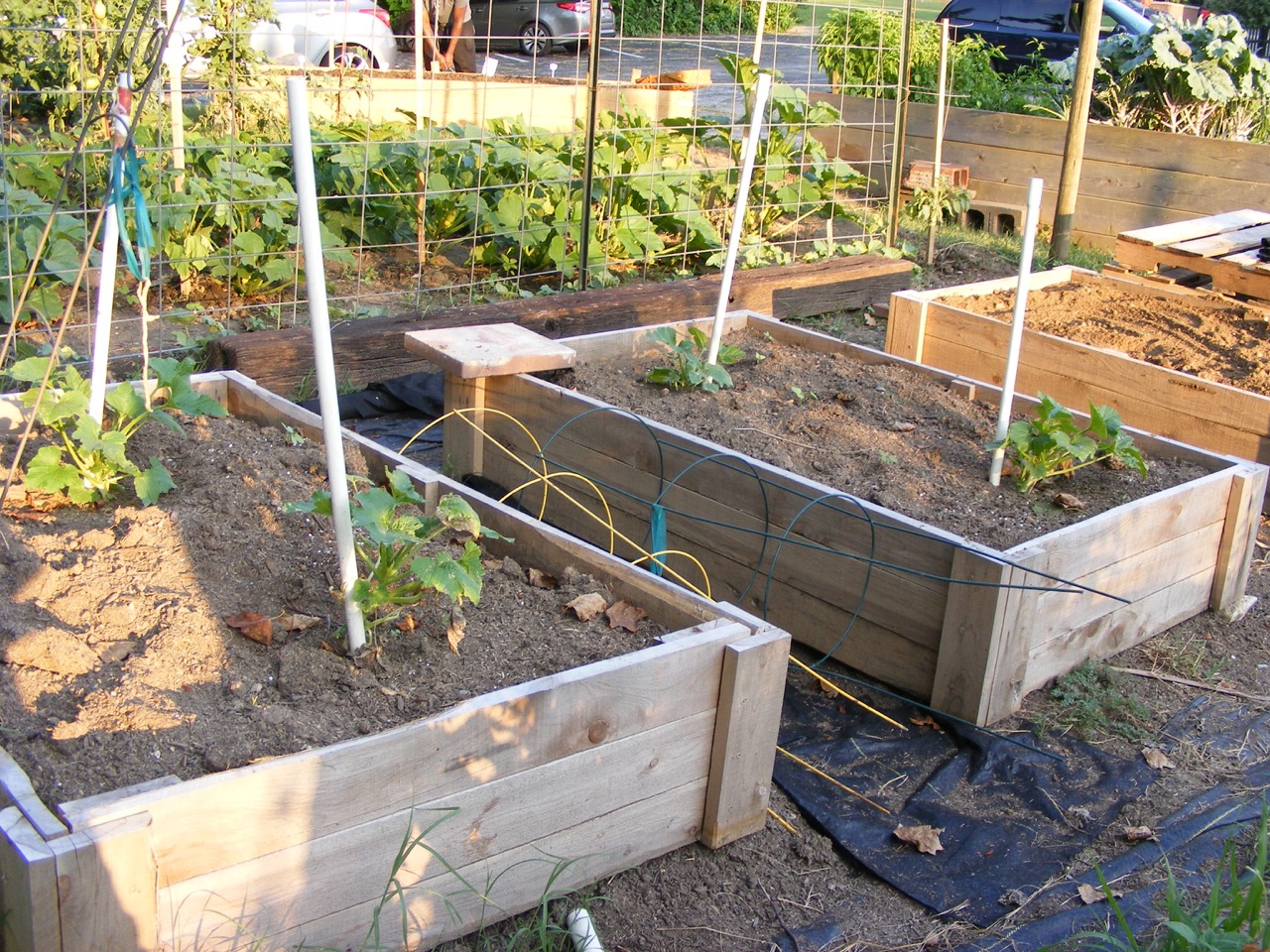 raised beds at St. Joseph St. garden