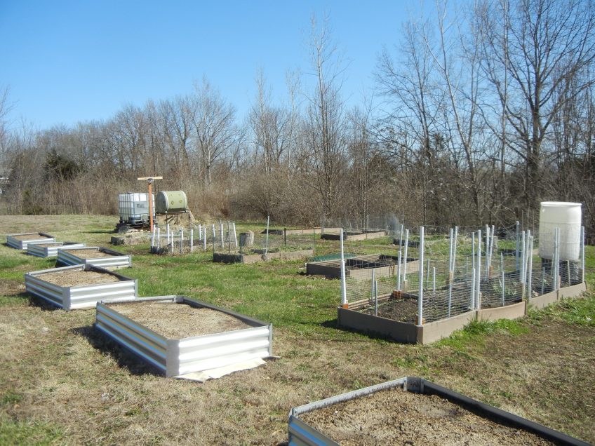Raised beds at Friendship Garden