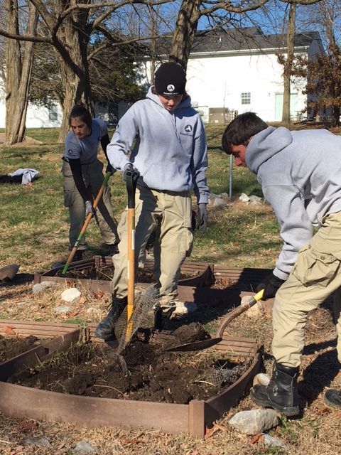 Americorps volunteers loosen the soil and spread compost in low raised garden beds at a community garden on an early winter day.