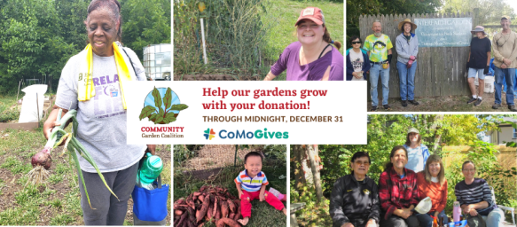 collage of photos of people using community gardens along with the logos for the Community Garden Coalition and CoMoGives and text saying "Help our gardens grow with your donation! Through Midnight, December 31."