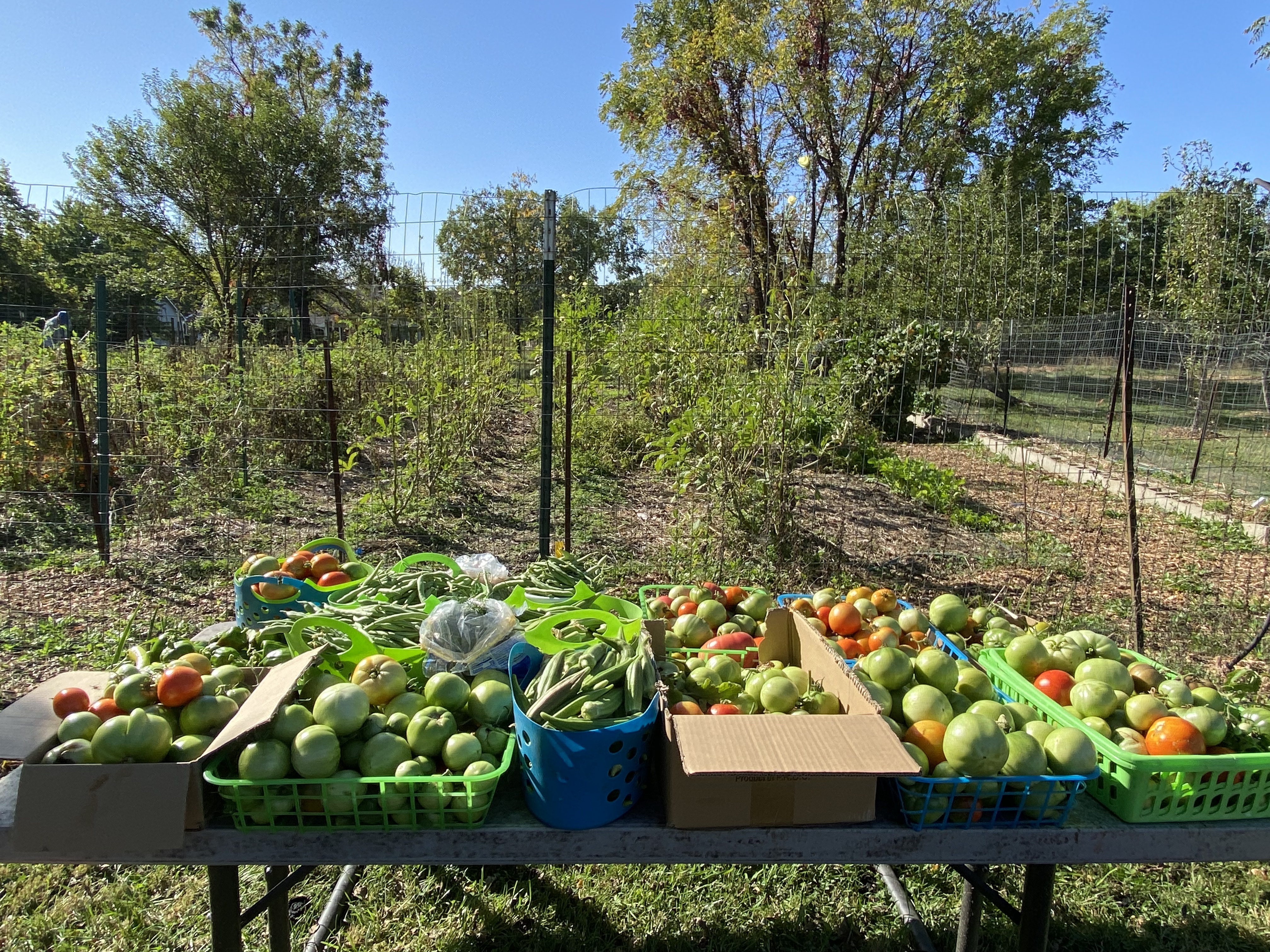 a table set up outside holds fresh-picked produce and Interfaith garden is visible in the background