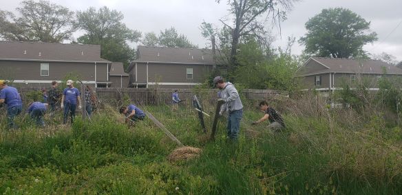several volunteers pull out posts and fencing from among tall weeds in a wide shot of the garden area
