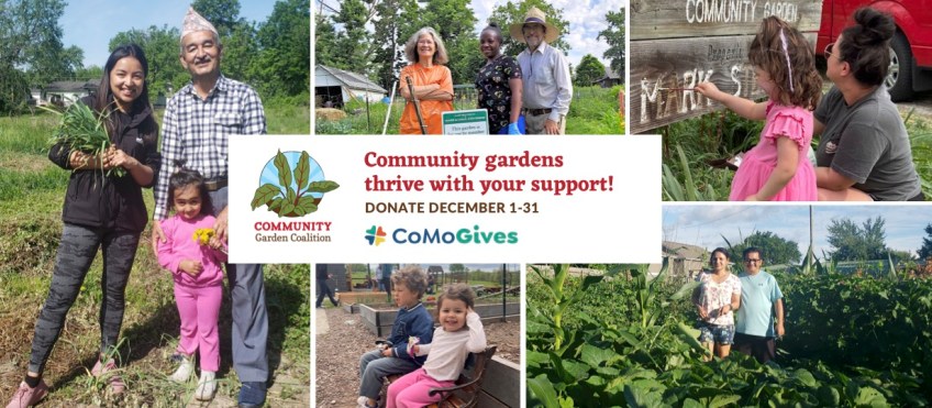 Collage of photos featuring community gardeners in their gardens and the text, "Community gardens thrive with your support! Donate December 1-31" plus logos for CoMoGives and the Community Garden Coalition