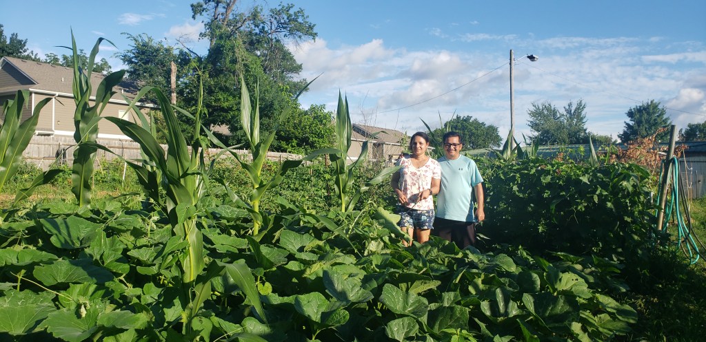 A pair of people stand in the middle of a community garden with green plants flourishing in every direction.