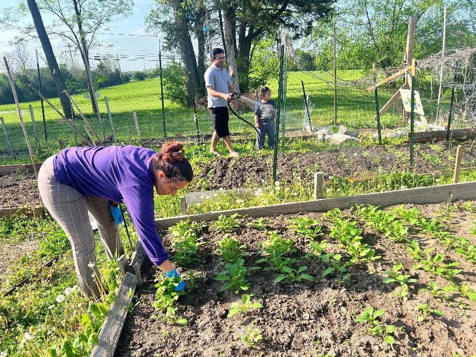 In the foreground, a woman bends over rows of plants, and behind her a man and child water their garden plot